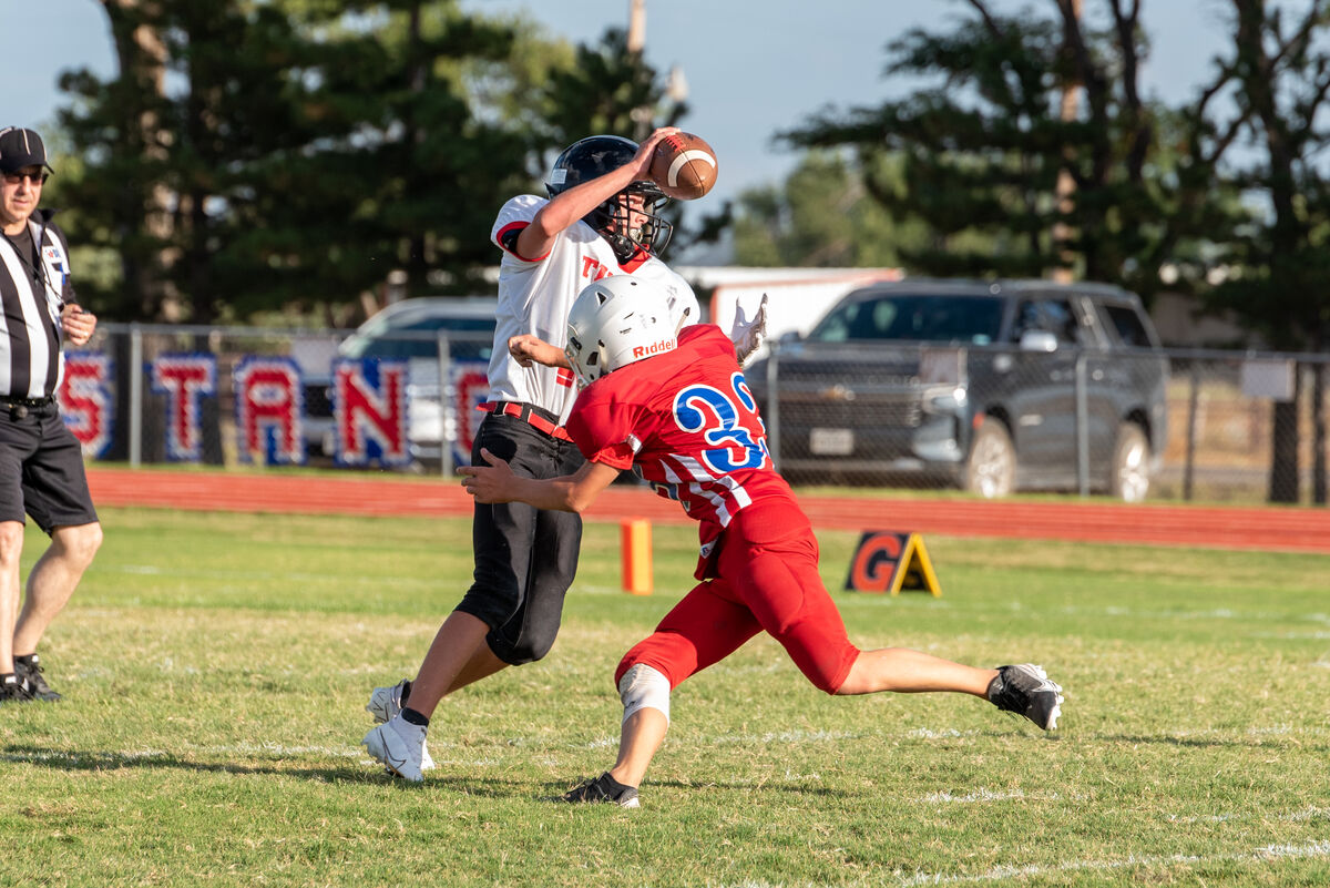 Player catching a pass